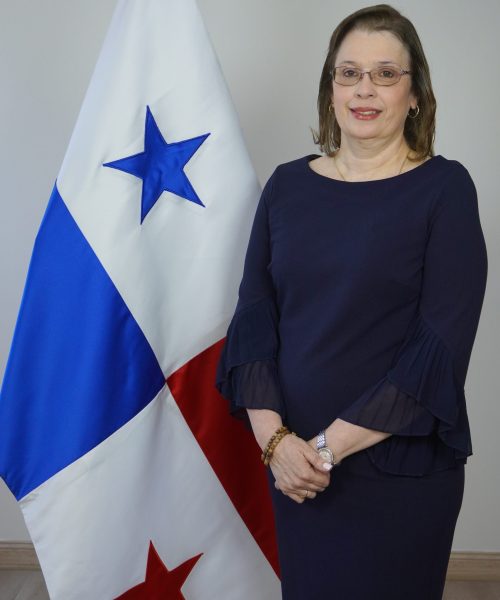 Directora de investigación
